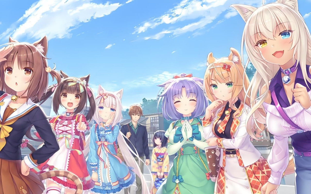 猫娘乐园世界连结