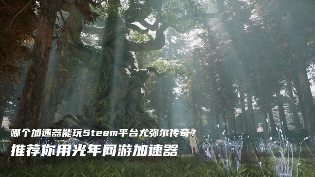 尤弥尔传奇Steam服怎么下载？搬砖党必备光年加速器满速下载稳收益